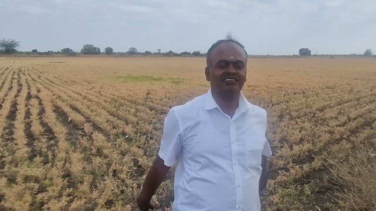 8. ಎಕರೆ ಜನರಲ್ ಪ್ರಾಪರ್ಟಿ. ನಿಯರ್ ಬೈ ಹಿರಿಯೂರ್ ಚಿತ್ರದುರ್ಗ ಹೈವೇ.3.km. 👌👌👍8904417659