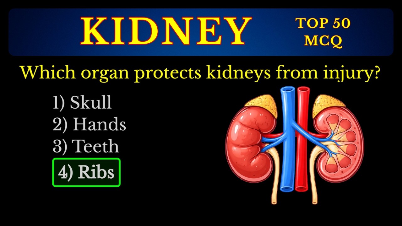 Kidney Science: 50 Questions To Master