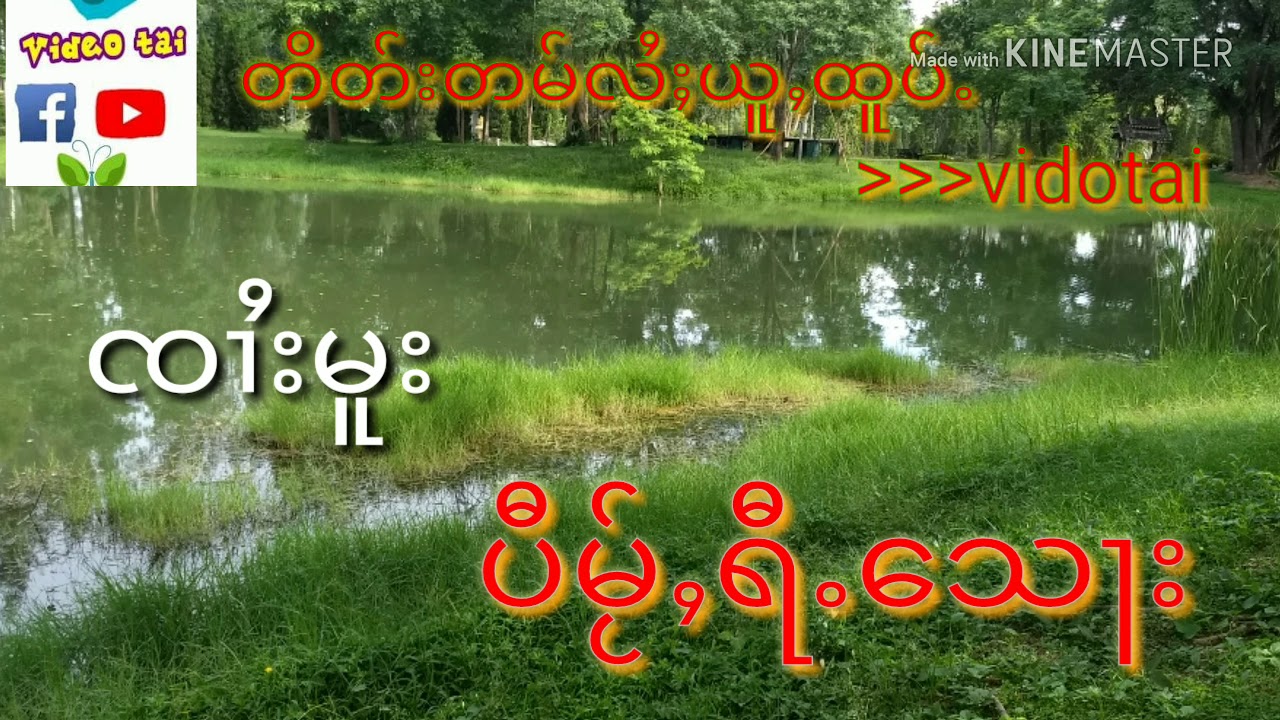 ၸၢႆးမူး  ပီမႂ်ႇရီႉသေႃး  จายมู