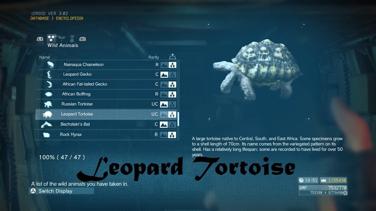 METAL GEAR SOLID V: THE PHANTOM PAIN: Leopard Turtoise