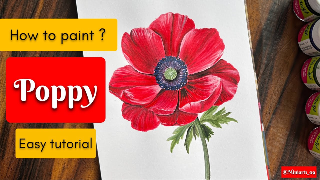 Poppy flower drawing with watercolor 🎨 | Flower painting step by step video #art 