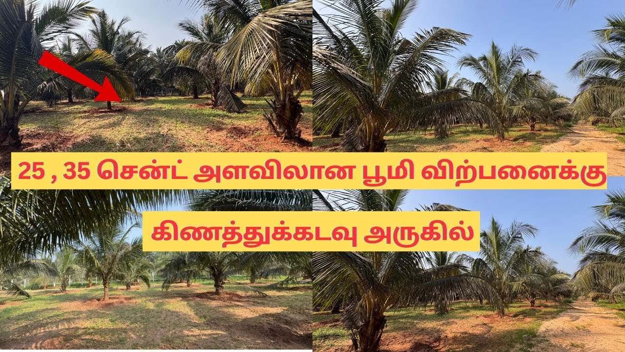 Farm Site for sale near Kinathukadavu in Coimbatore | 25, 35 Cents Coconut farm with Water and EB