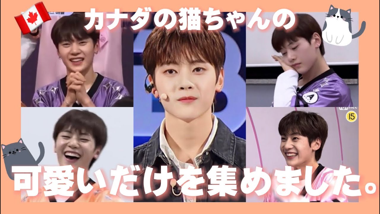 【ボイプラ 日本語字幕】にゃんにゃん？メテュの可愛さ (ソクマシュー🦊)