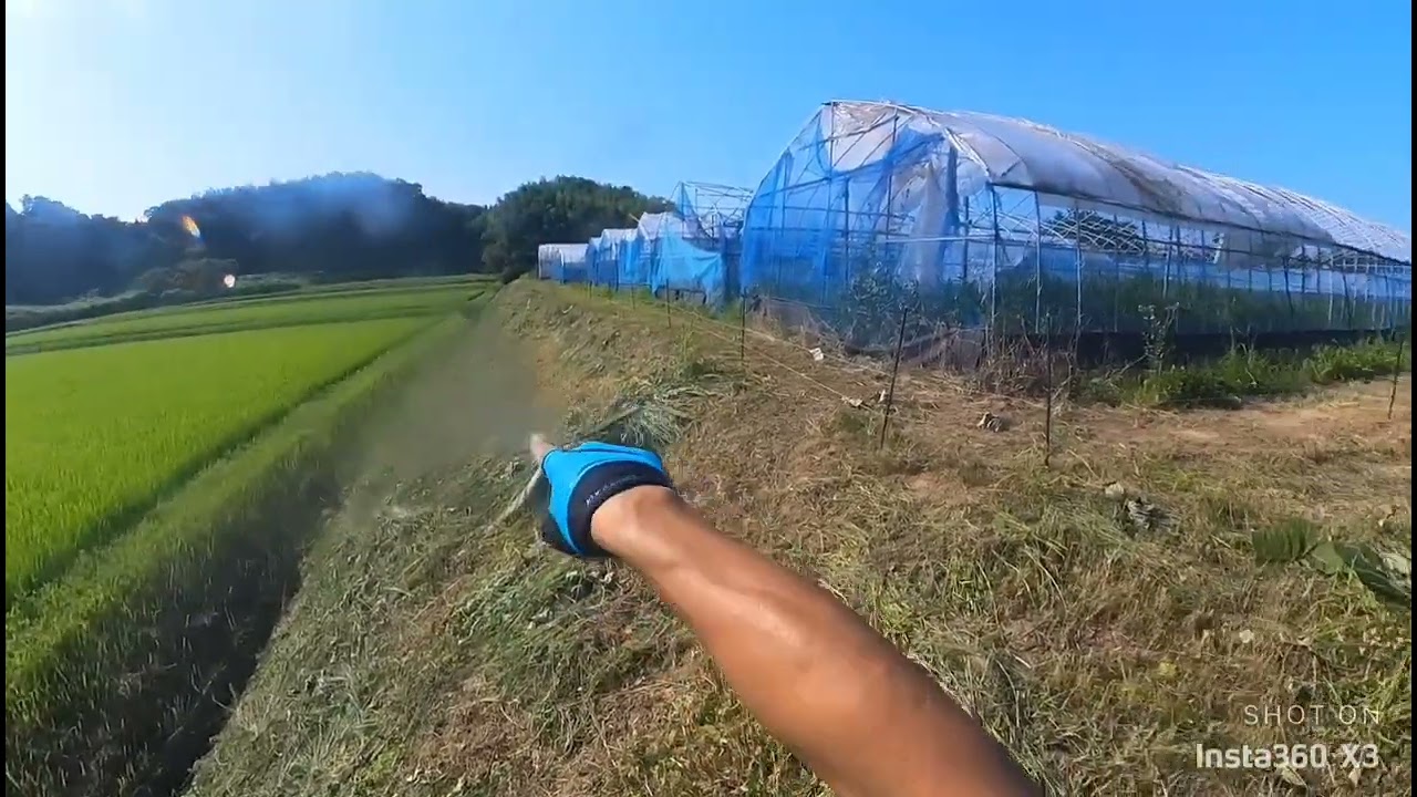 夏の日の畑仕事　畑の斜面草刈り