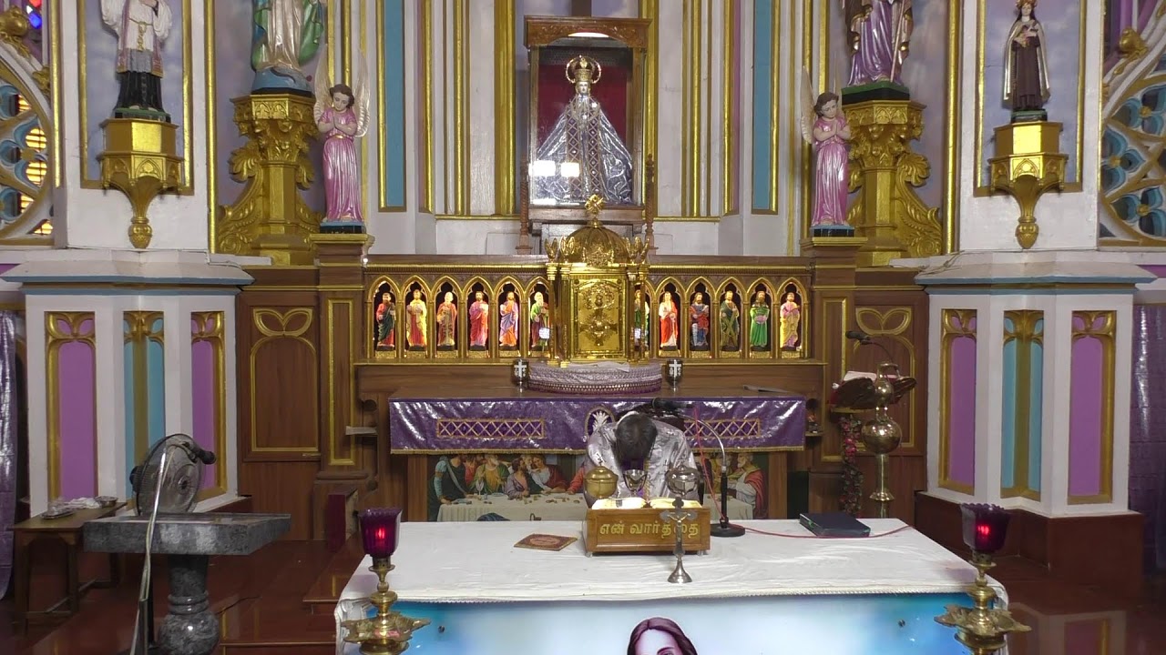 ༺♰༻ 🅛🅘🅥🅔 𝑽𝒂𝒅𝒂𝒗𝒂𝒊 𝑷𝒂𝒓𝒂𝒍𝒐𝒈𝒂 𝑴𝒂𝒕𝒉𝒂 - Festival Mass in Tamil -  2025 - திருப்பலி
