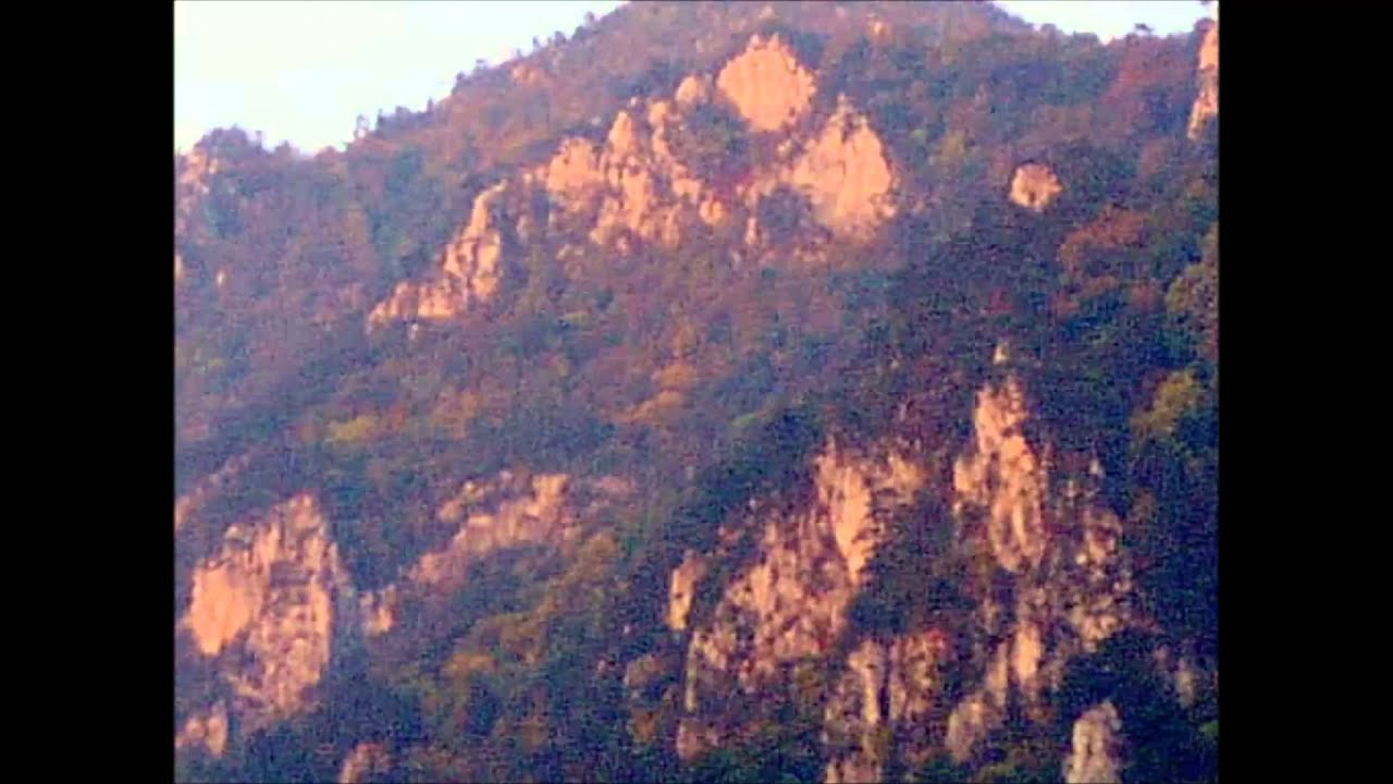 Boogie Senicka - Rock Bottom