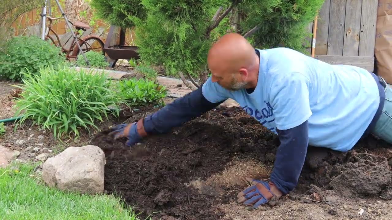 Transferring a Juniper//A New Layout for Shed Entrance//Laying Sod for Dramatic Transformation