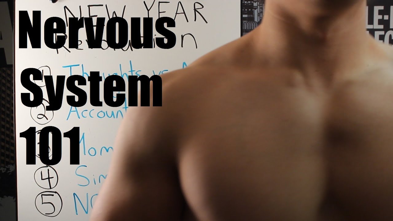Nervous System 101: Hypertrophy, Strength and Maximizing Your Genetic Potential