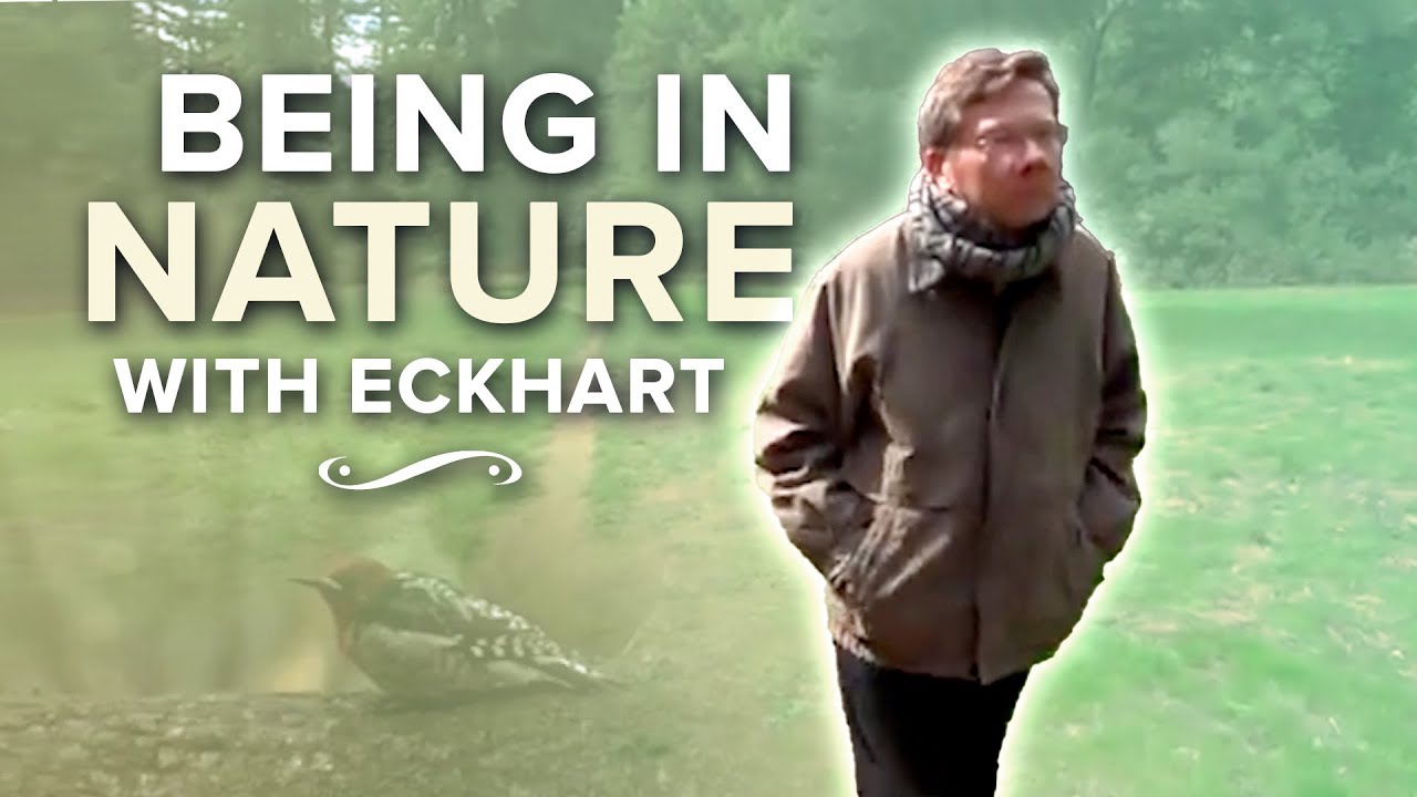Being in Nature with Eckhart Tolle | 20 Minute Special Teaching