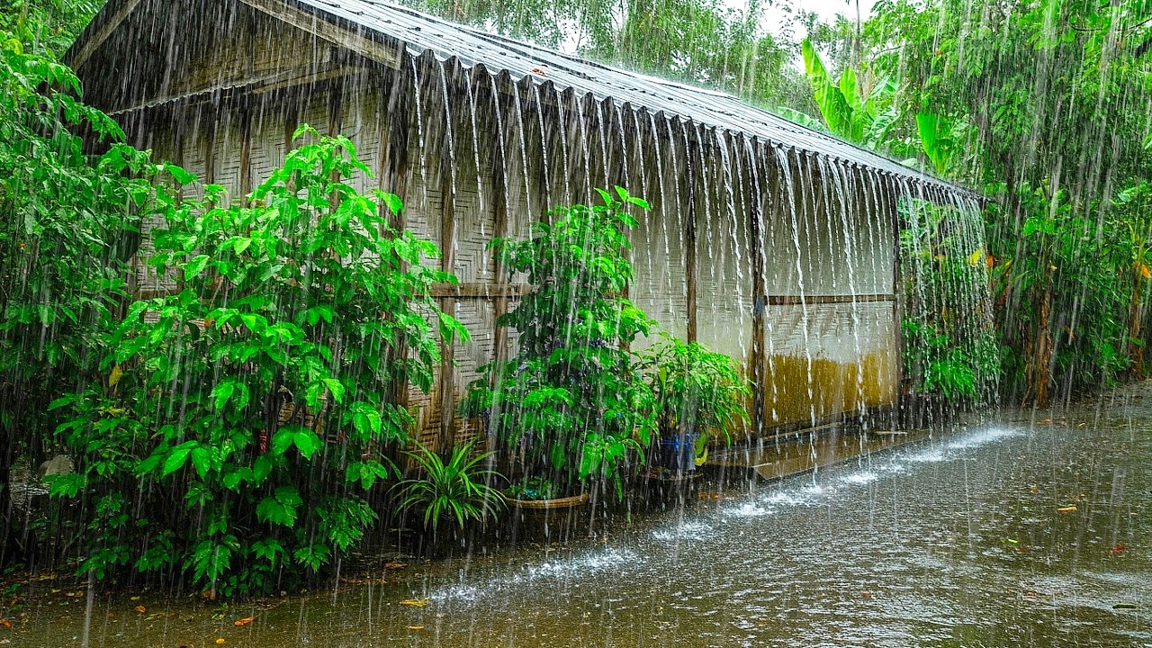 Heavy Rain & Thunder on Roof all Night | deep Sleep, Relaxing rain sounds, study, & meditation