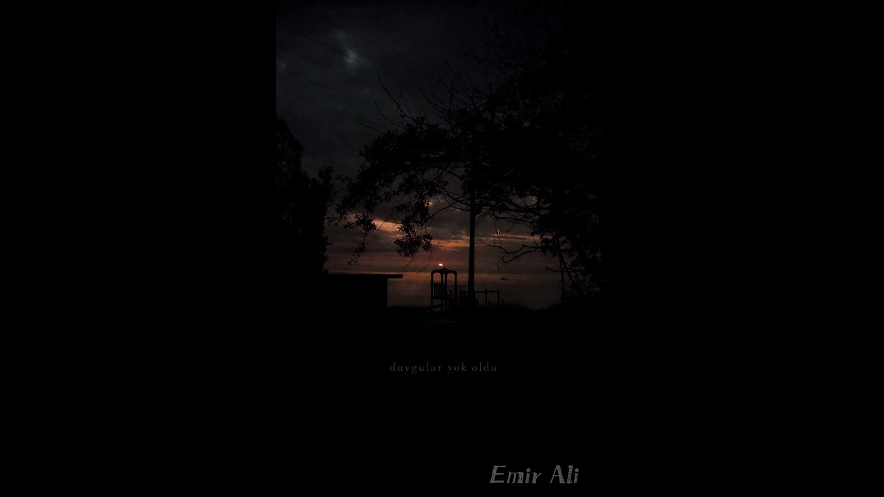 EMİR ALİ - DUYGULAR YOK OLDU (OFFICIAL MUSIC)