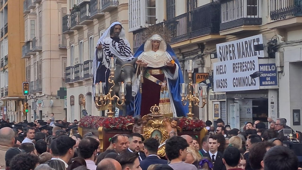 Traslado de la Pollinica, Semana Santa de Málaga 2025