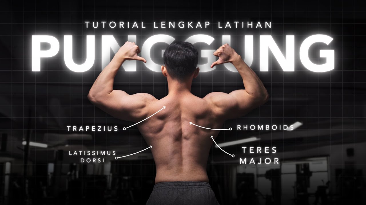 Tutorial Lengkap Latihan Punggung (Back)