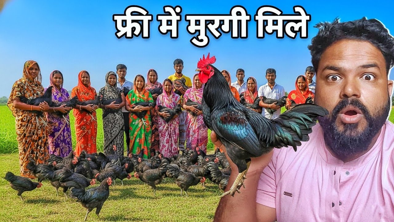 आज मुझे इतने सारे फ्री में मुर्गी मिले 🫢 yah sab pahli bar  poultry farm new vlog