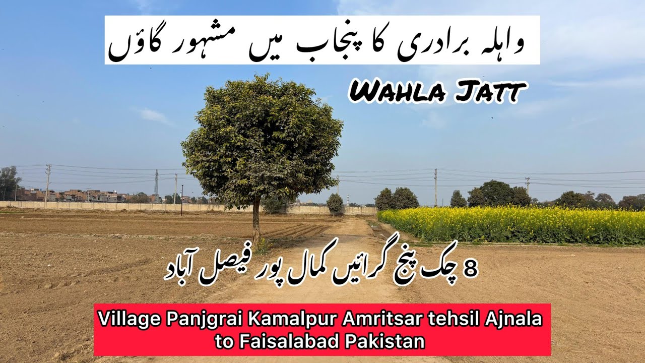 Famous Village of Wahla jatt cast | 8 jb Panjgrai Kamalpur Faisalabad