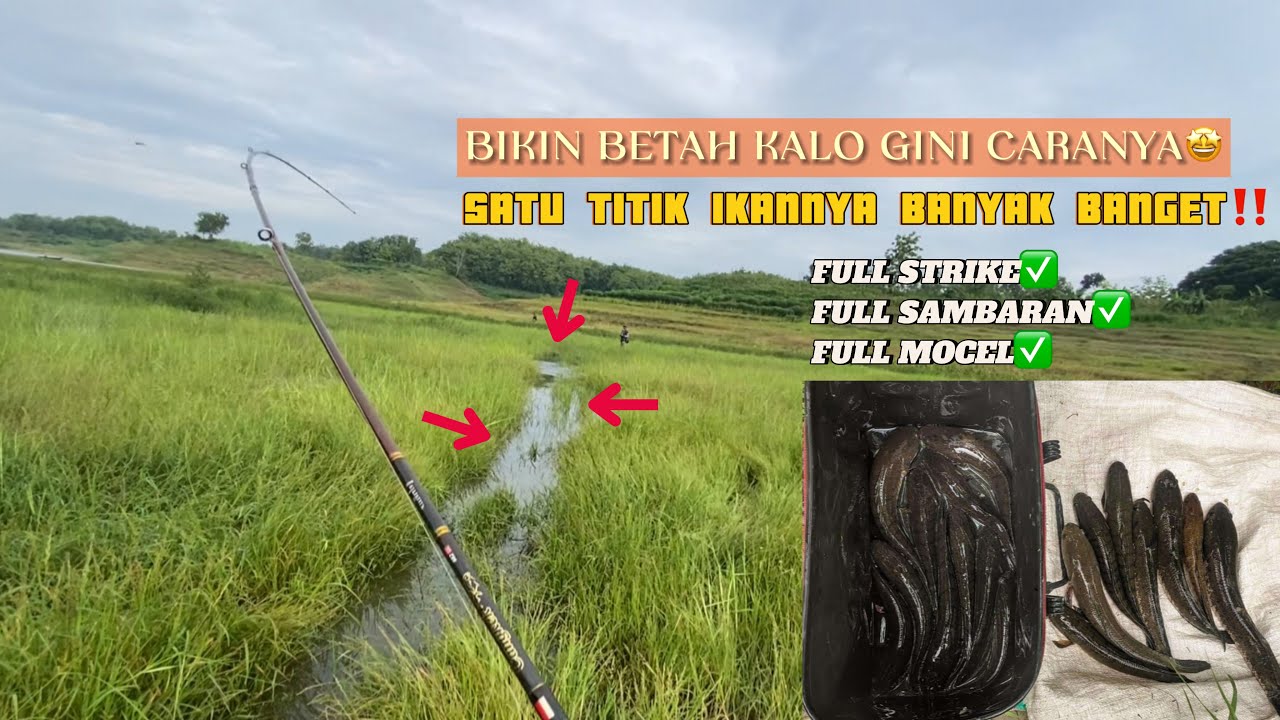 PANEN RAYA!! IKAN NYA BANYAK BANGET BIKIN BETAH MANCING.
