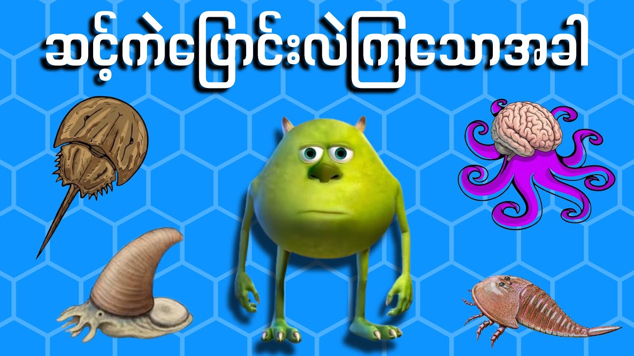 ဆင့်ကဲပြောင်းလဲခဲ့သော တိရိစ္ဆာန်များနှင့် မပြောင်းခဲ့တဲ့ ငဒူများ : Evolution