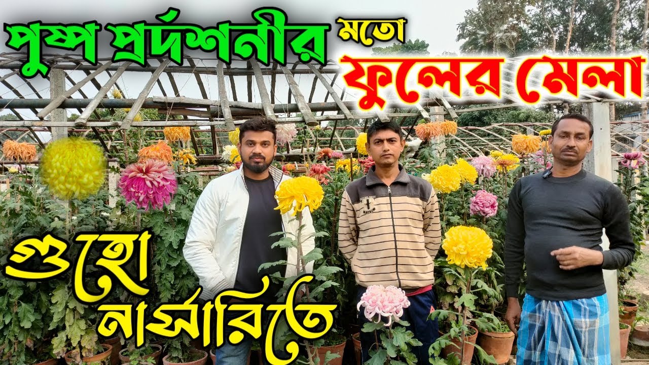 আমার দেখা সবথেকে অসাধারণ ফুলের নার্সারি পাগল করে দেওয়া কালেকশন।