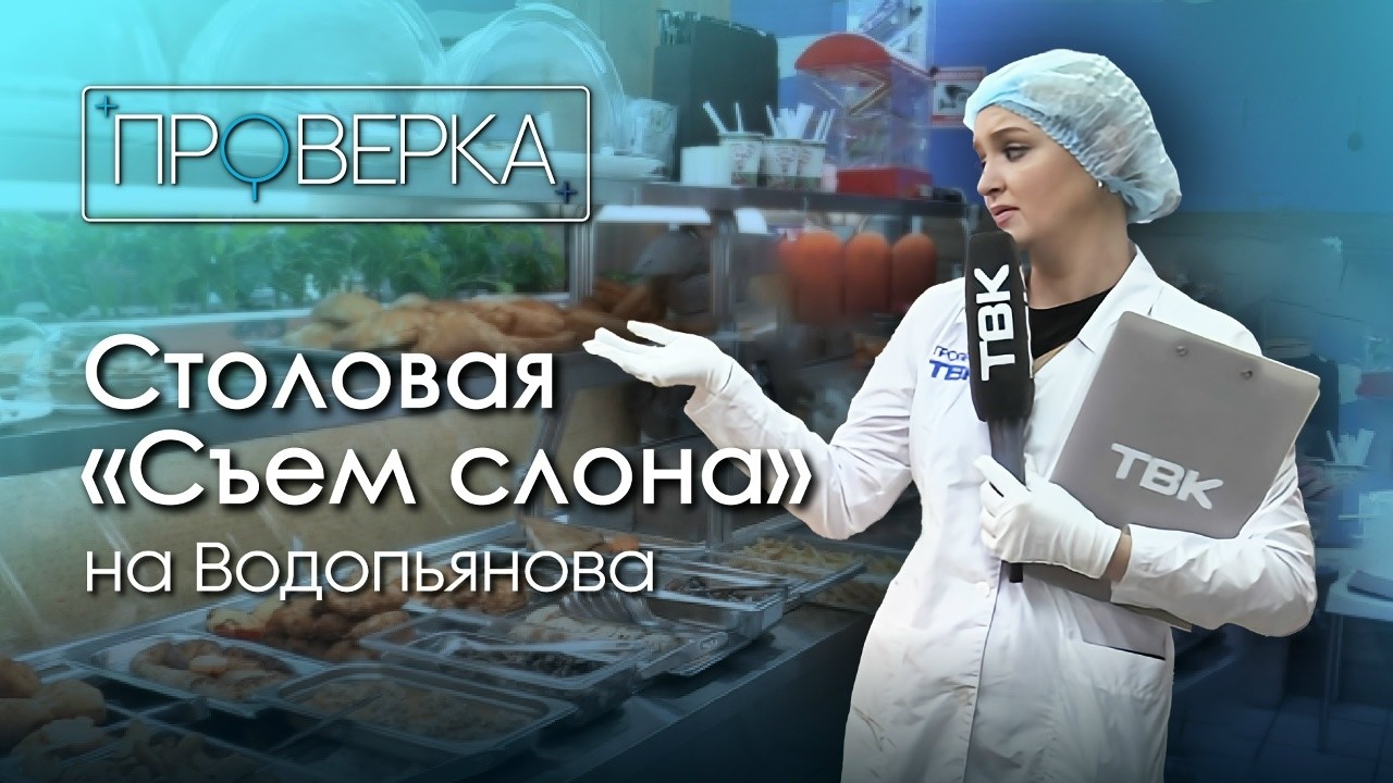 Столовая &laquo;Съем слона&raquo; на Водопьянова / &laquo;Проверка ТВК&raquo;