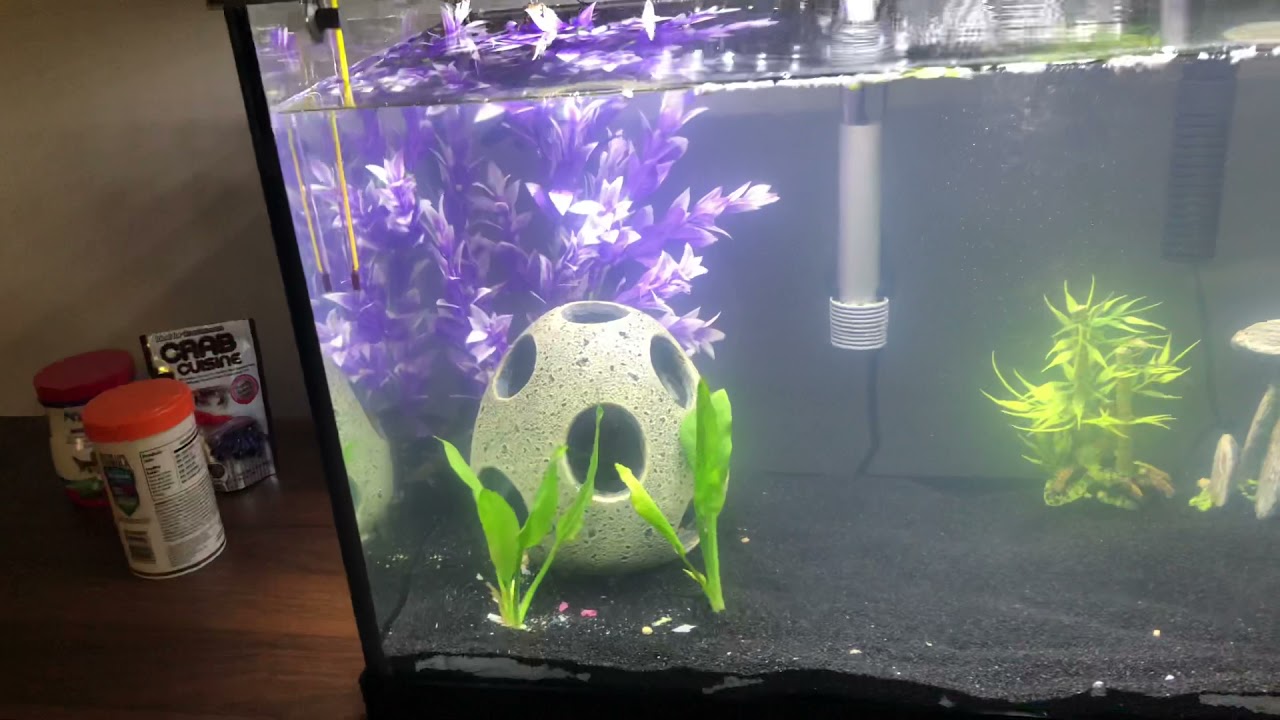 Top Fin 20 gallon tank kit review