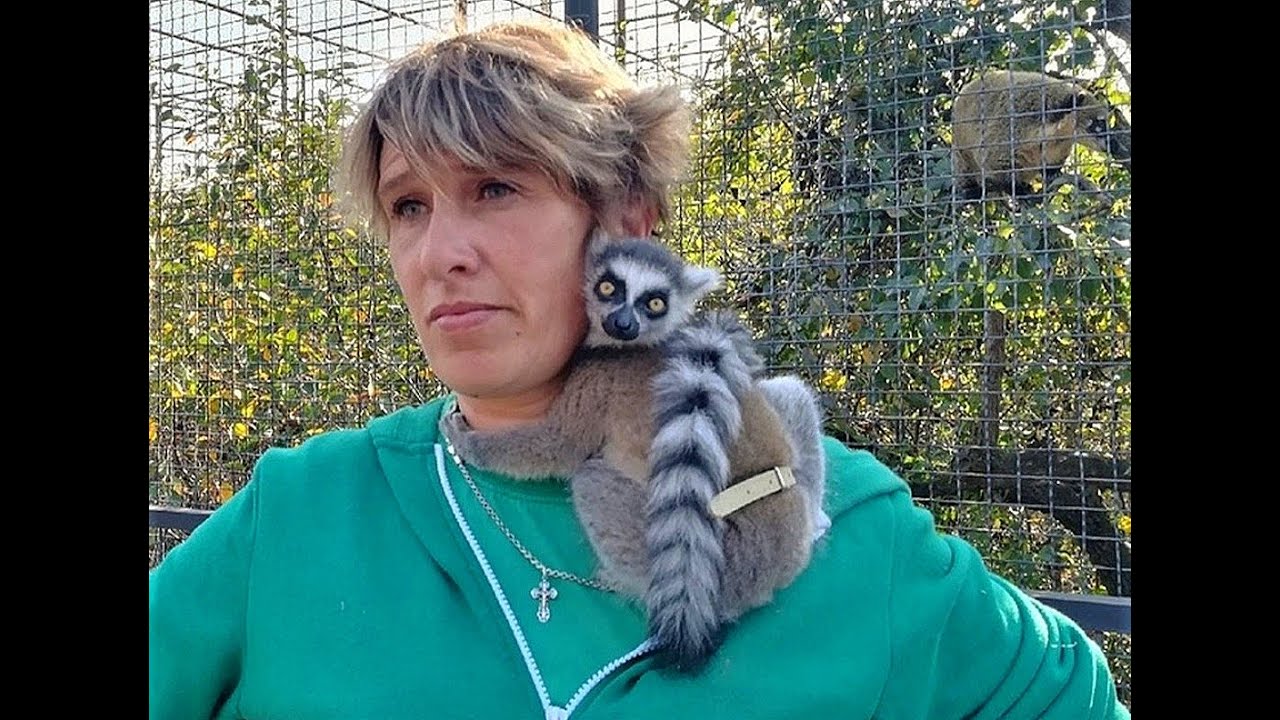 Тайган! Гори, гори МОЯ ЗВЕЗДА! Посвящается в память о Леокадии...