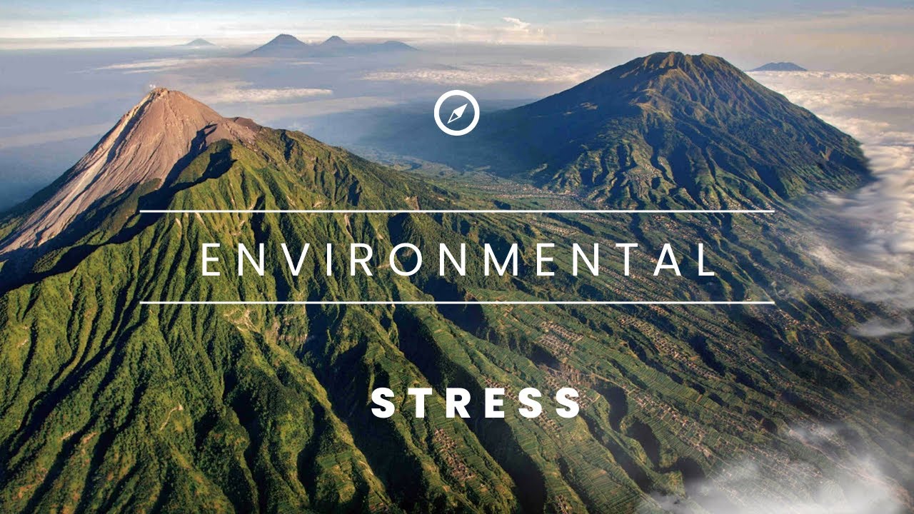 10 Warning Signs You're Suffering from Environment-Related Stress