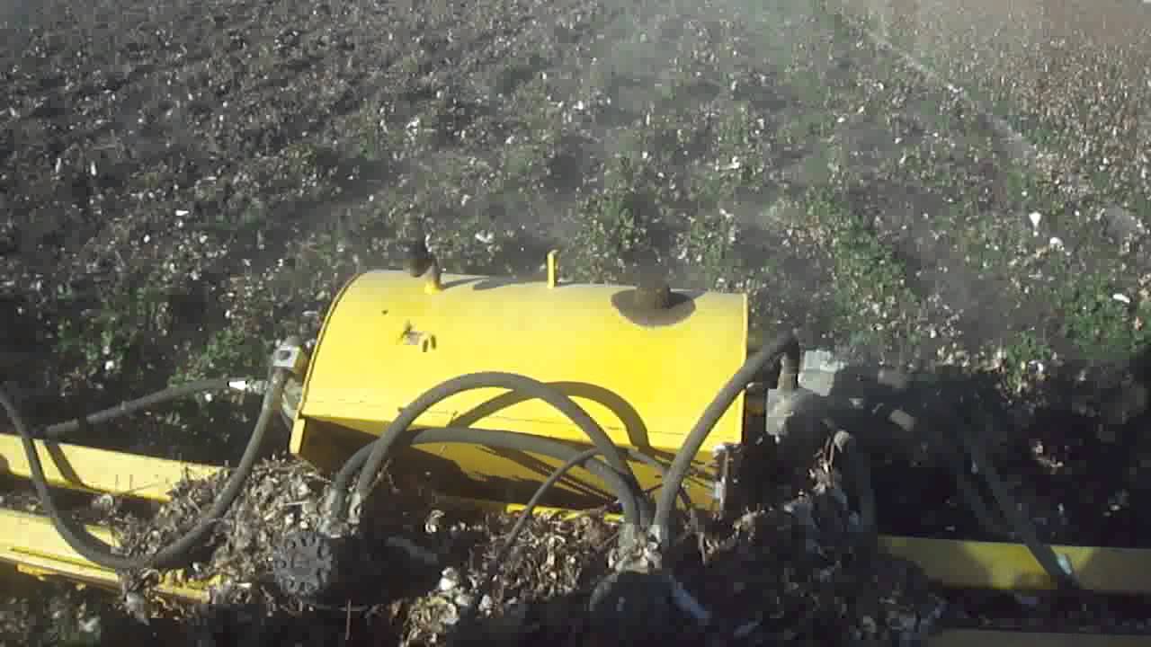 Cotton Stalkpuller 8 Row pulling green cotton in dry soil - Multi Farming Systems 2