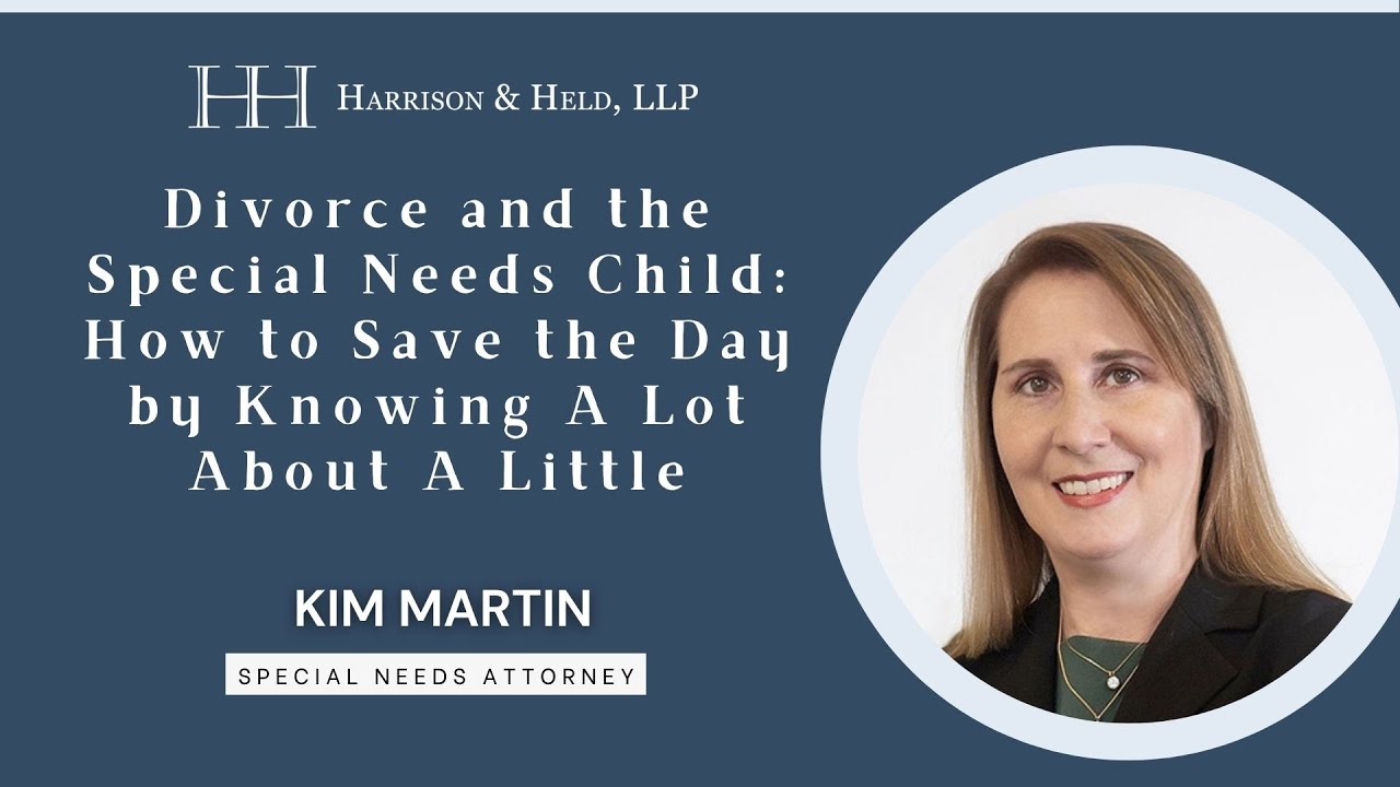 Divorce and the Special Needs Child: How to Save the Day by Knowing A Lot About A Little
