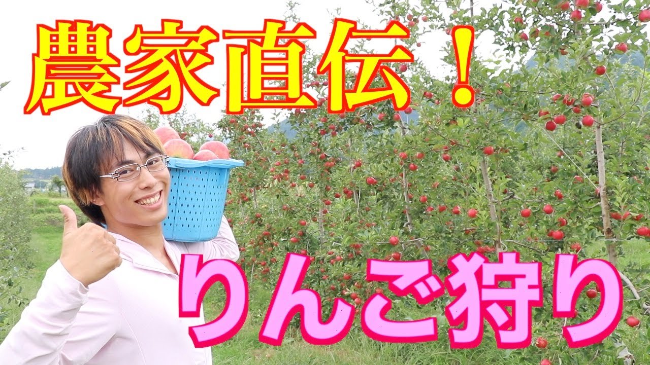 秋だ！りんご狩りだ！プロ農家（自称）が教えるりんご狩り超入門