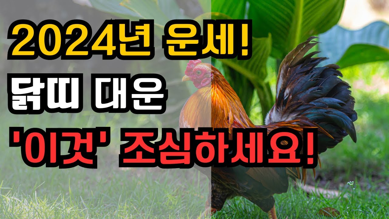 2024년 닭띠 운세! 대운! '이것' 조심하세요!