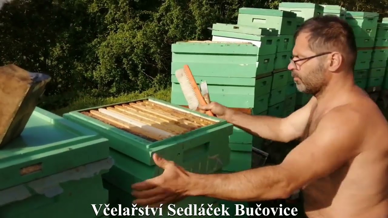 60/24 J5 sběr medníků a doložení souší tzv beze slov 3/3 1.5.2024