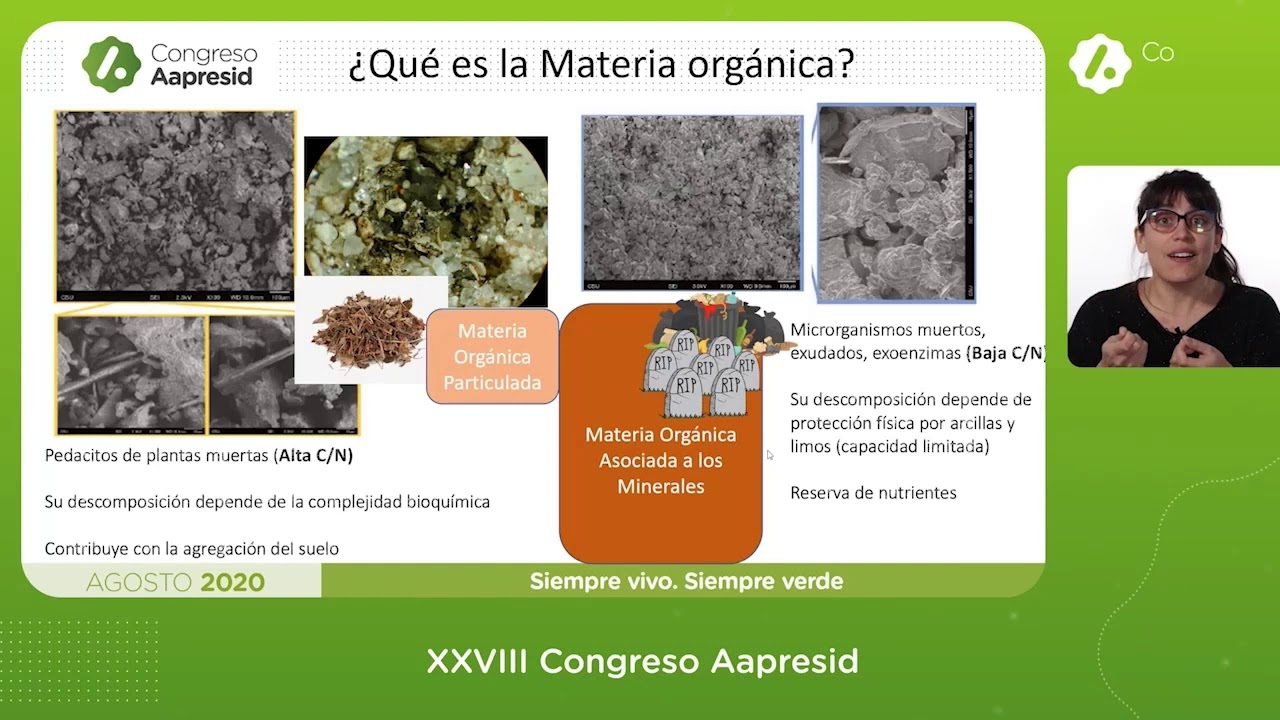 Dinámica de carbono y nitrógeno en cultivos de servicios