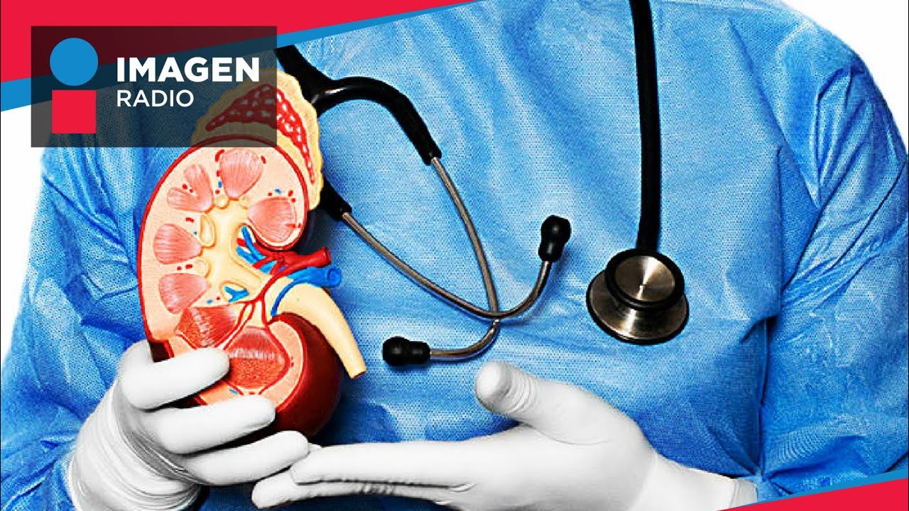 Principales causas de la insuficiencia renal