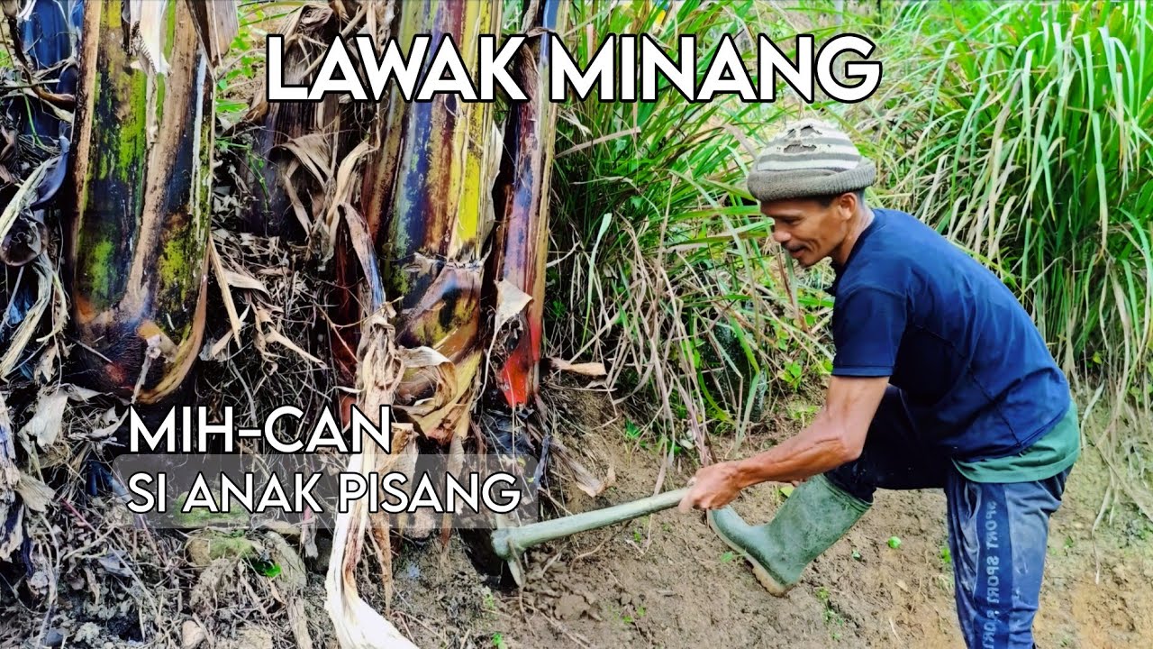 LAWAK MINANG TERBARU | MIH-CAN -SI ANAK PISANG | MINANG KOCAK | MINANG LUCU | MINANG NGAKAK | GARAH