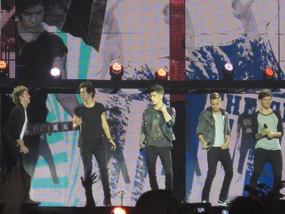 One Direction- More Than This (live in Milan)