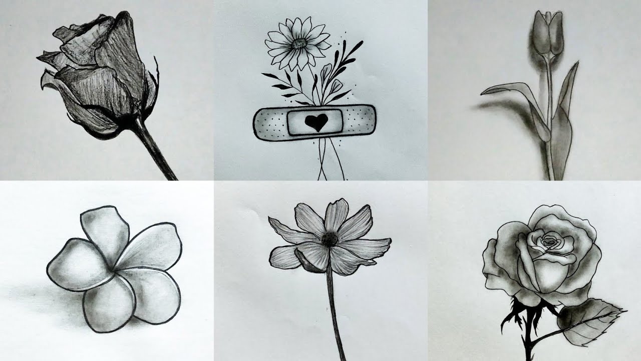 6 easy flower drawing ideas || Pencil sketch Tutorials || Art Videos || Flower drawing tutorial 