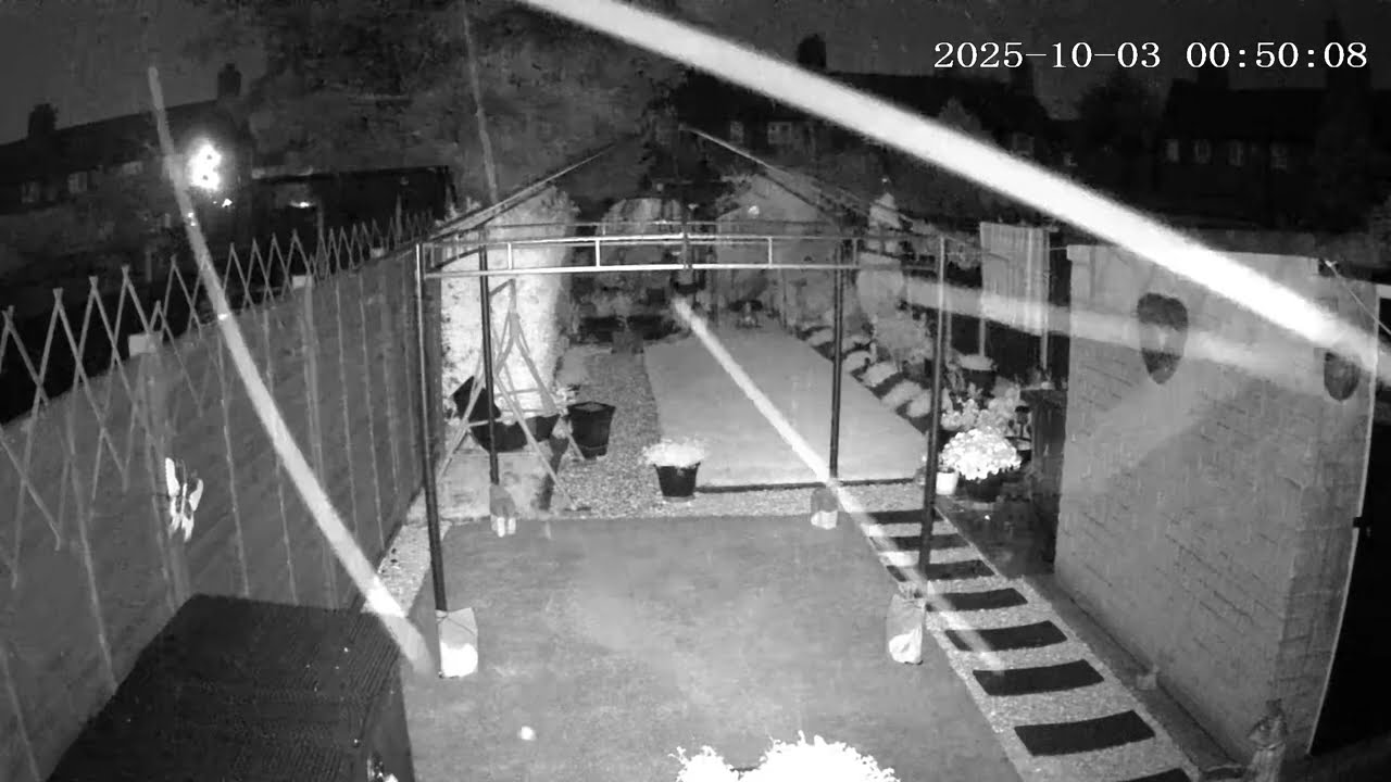 (3/10/2025) 00:40am HULL (Uk) BYC [0112]