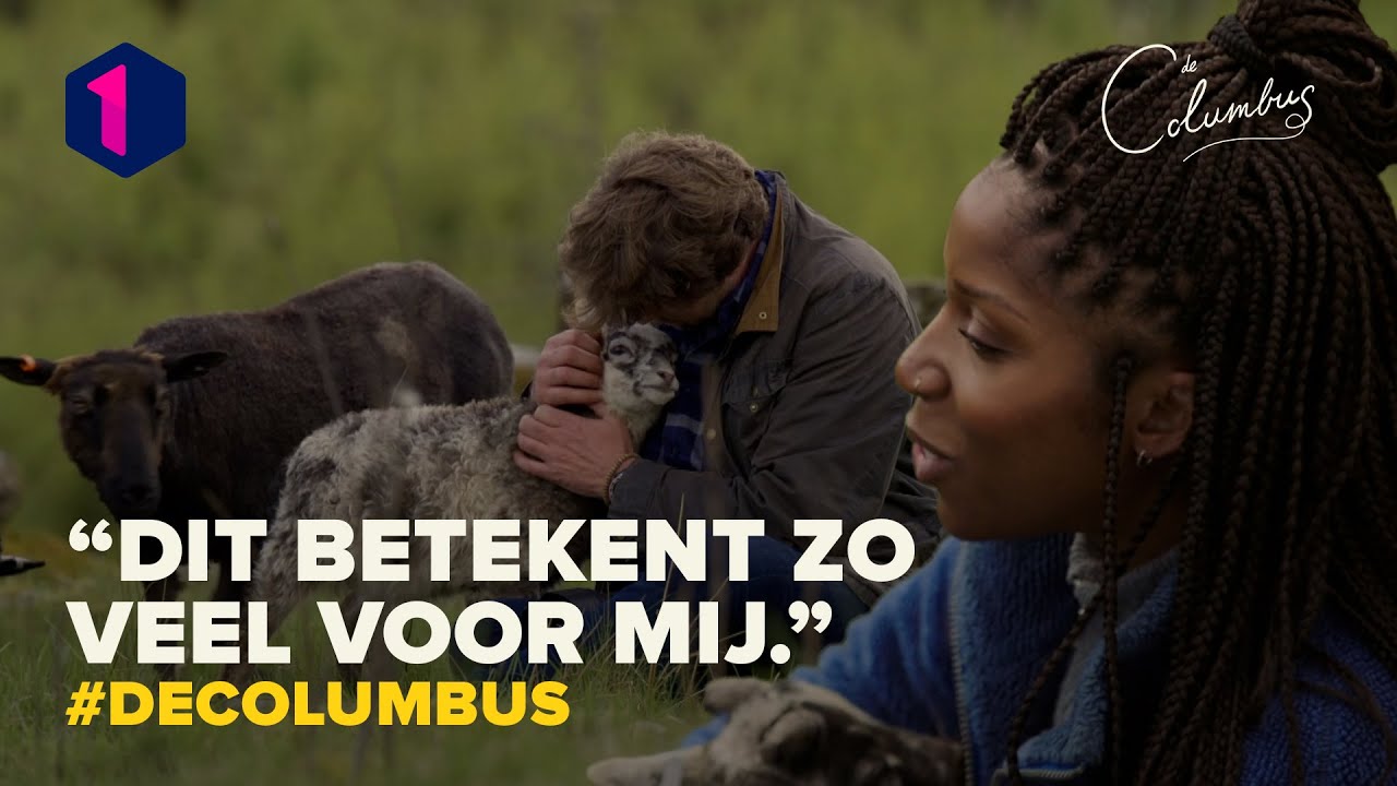Wim en Charlotte Adigéry knuffelen schattige schaapjes | De Columbus