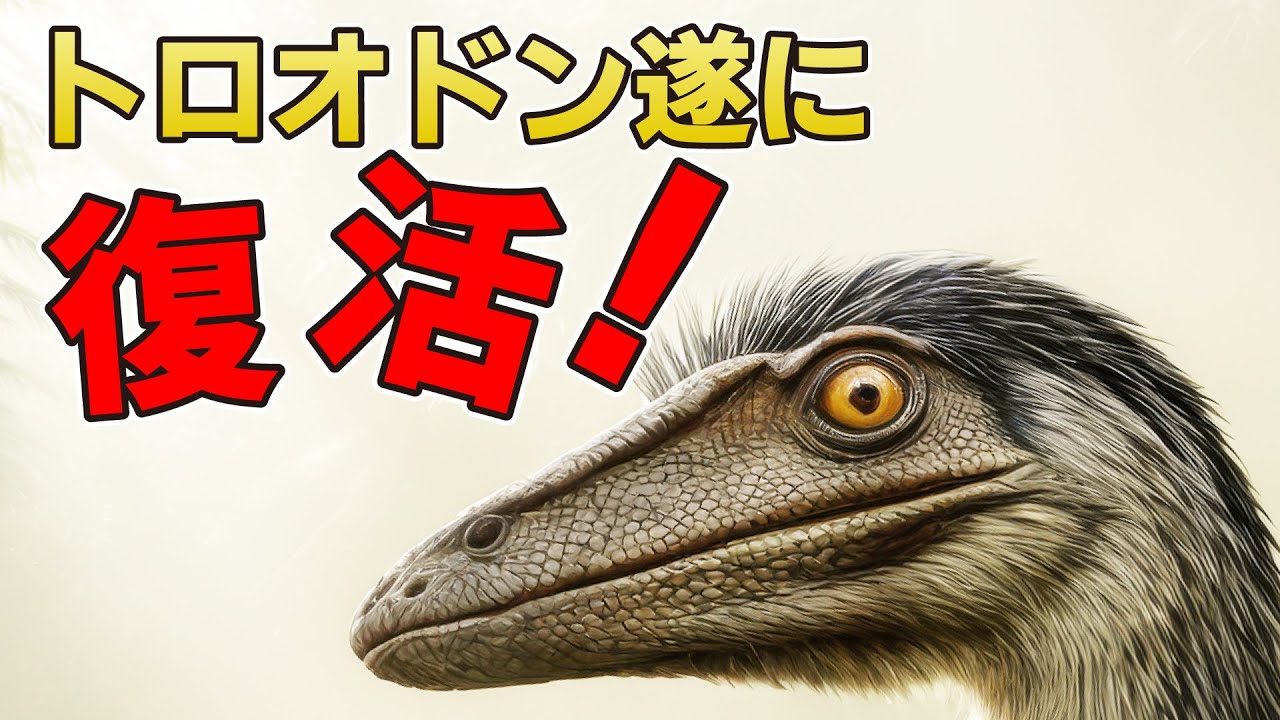 トロオドン vs ステノニコサウルス問題、ネオタイプ指定で終止符へ！【古知累すすむ/恐竜研究者/男性Vtuber】