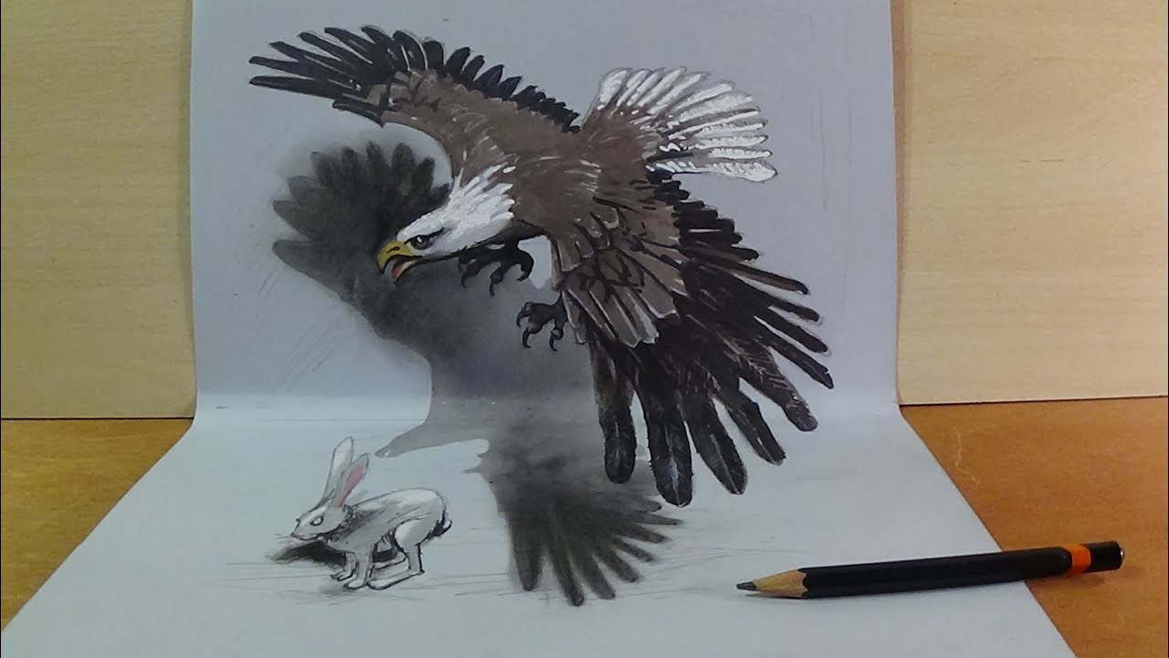 Hunting Eagle - Drawing 3D Eagle Illusion - Vamos