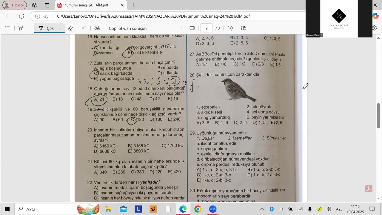 TAİM sınaq toplusu. Ümumi sınaq-24.  Videoizah