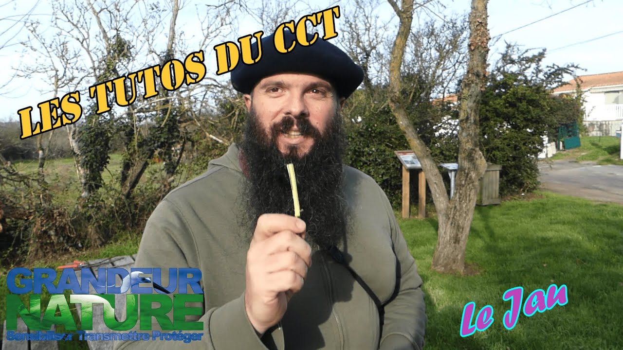 Les Tutos du CCT - Le jau