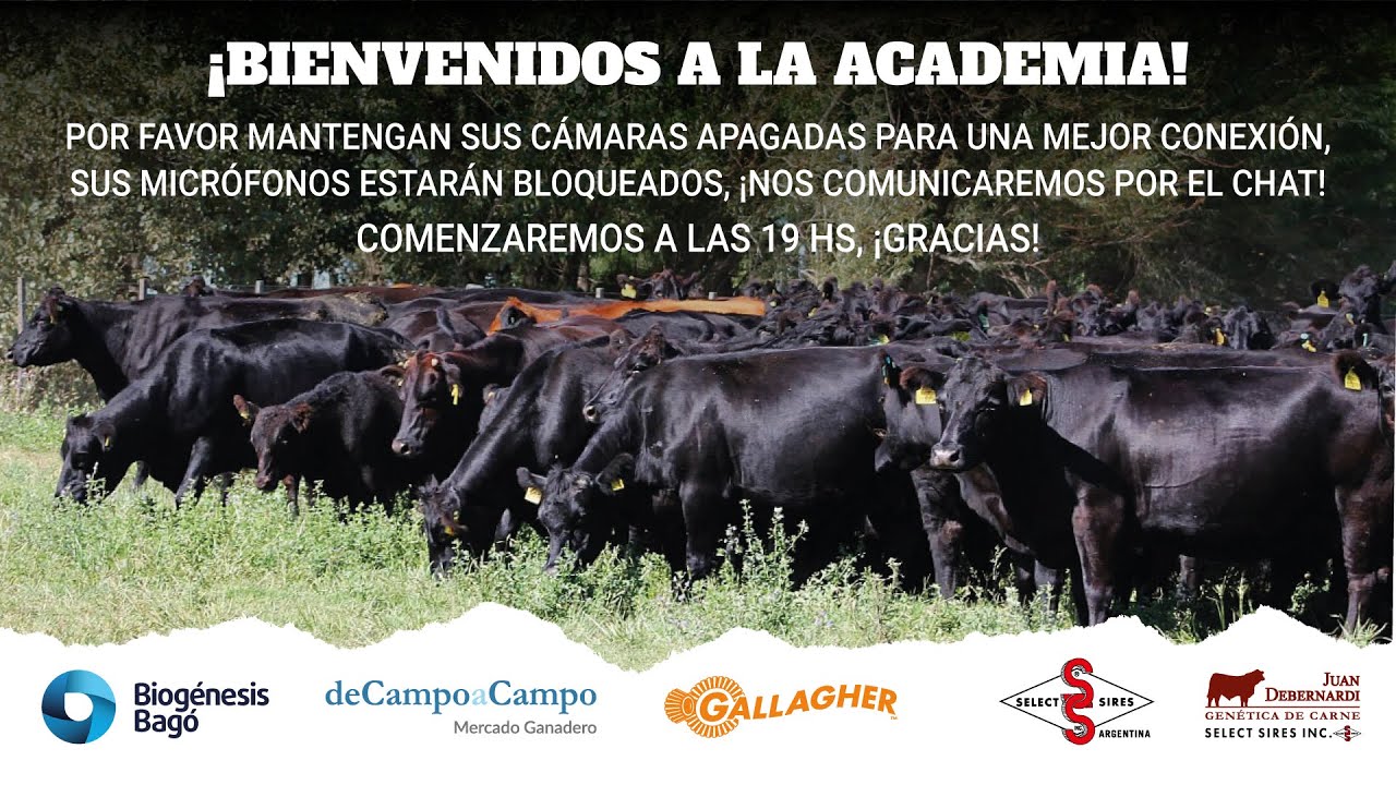 NUTRICIÓN EN VAQUILLONAS DE PREPARTO Y RECRÍA