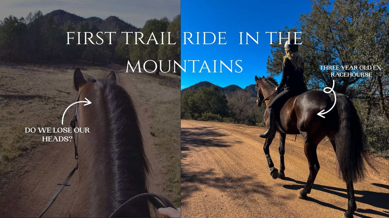 Will My Young Ex-Racehorse Handle His First Mountain Trail Ride? | OTTB Training