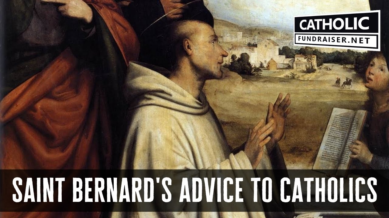 St Bernard's Advice - How to Run a Catholic Apostolate