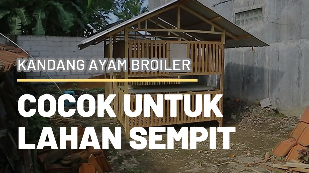 Model Kandang Ayam Broiler - Tutorial Pembuatan Kandang Untuk 100 Ekor