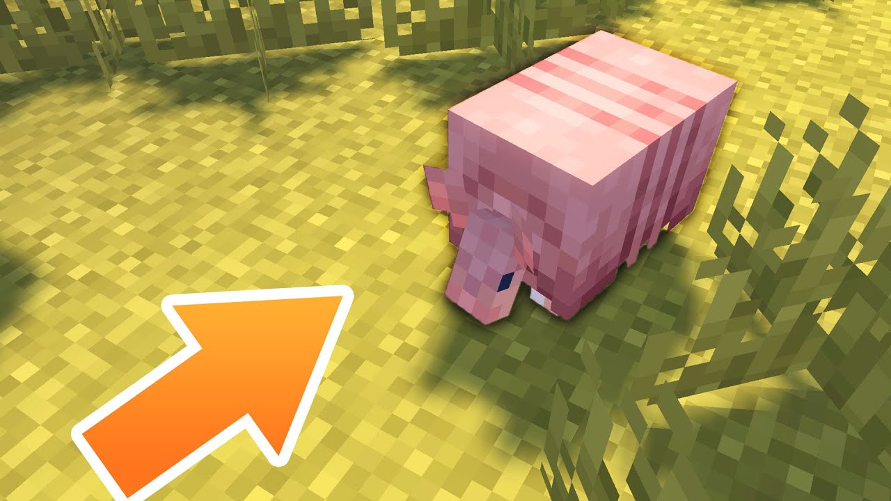 【1.20.5/6】ついに新モブのアルマジロ発見！！！オオカミ亜種も出現で大興奮！！！【マイクラ / マインクラフト / minecraft】47