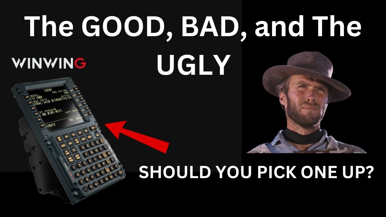 3 Things I LOVE/HATE About The Winwing PFP