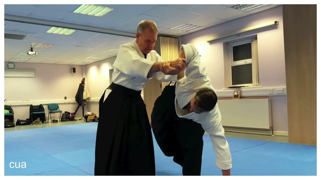 Aikido : Ikkyo