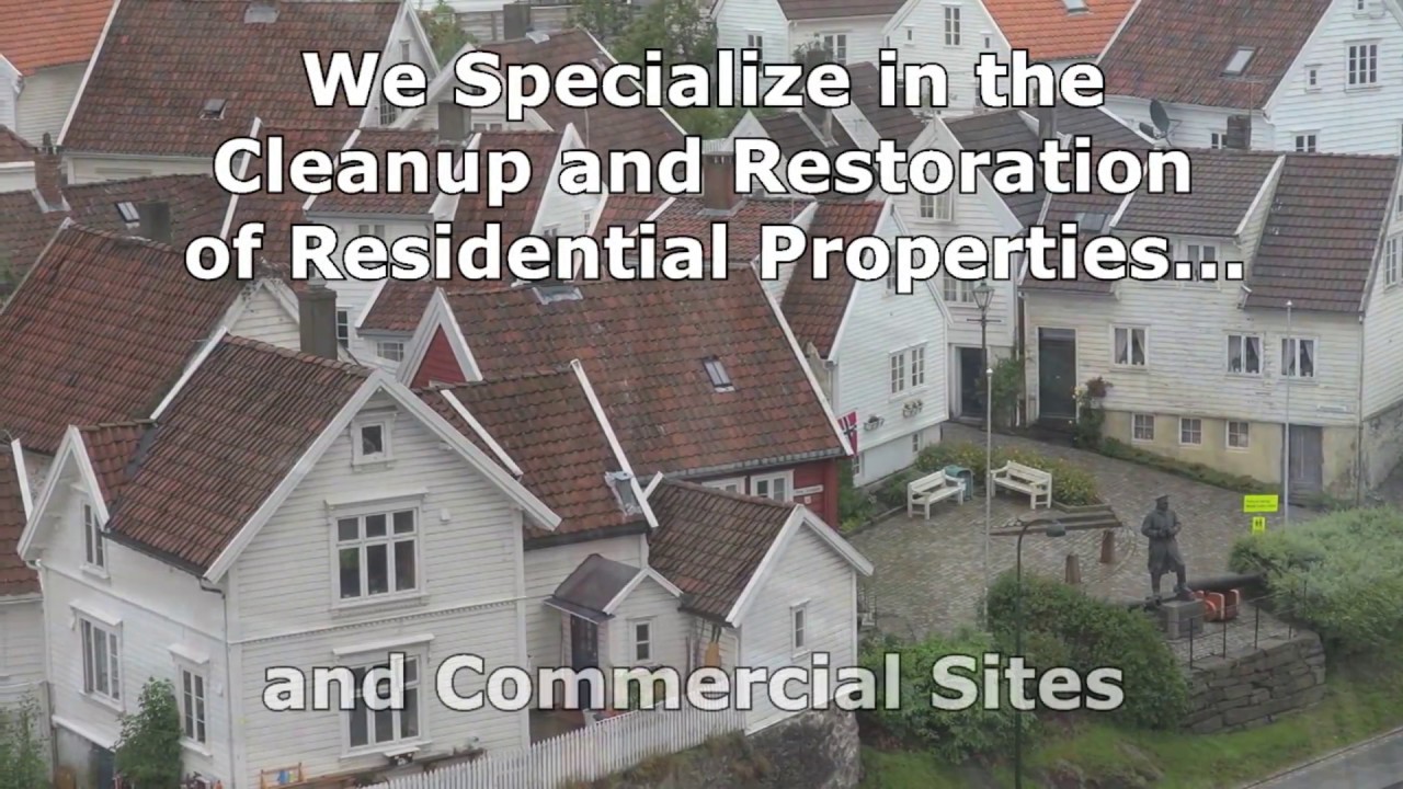 Commercial Mold Removal and Residential Mold Removal